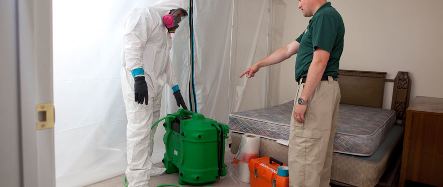 Lancaster, CA mold removal process